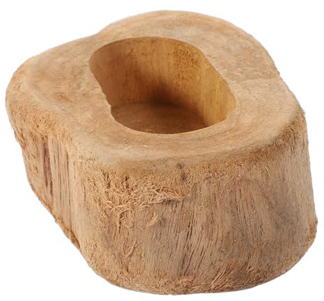 BESPORTBLE Vasi Per Piante Succulente Vaso Da Fiori Portafiori Case Luminose Decorazioni Per Il Giardino Decorazioni Per La Casa Vaso Da Fiori Supporto Floreale Decorazione Carnosa Per La