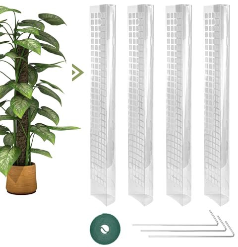 SPEACOUR 4 Pz Pali per Piante Rampicanti 61cm Tutore Piante Rampicanti Supporto Piante con 3 Chiodi e Cravatta Bastone Muschio Piante Rampicanti Monstera Stecche Piante Rampicanti da Interni e Esterni