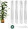SPEACOUR 4 Pz Pali per Piante Rampicanti 61cm Tutore Piante Rampicanti Supporto Piante con 3 Chiodi e Cravatta Bastone Muschio Piante Rampicanti Monstera Stecche Piante Rampicanti da Interni e Esterni