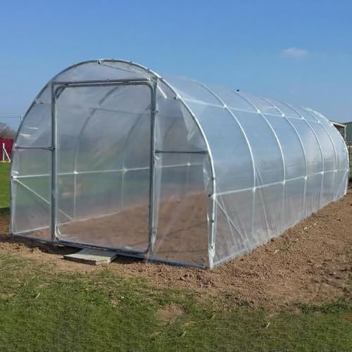 Tear Resistant Clear Film for Greenhouses, Perfect for Vegetables, Flowers, and Fruits Cultivation (3m*10m)