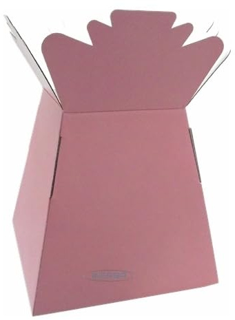 INERRA Florist Boxes - Living Vases for Flower Bouquet Box Making - Pack of 10 (Vintage Pink)