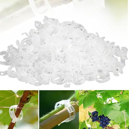 200 Stück Pflanzenclips für Kletterpflanzen, Pflanzenklammern Kletterhilfe Pflanzen Tomaten Rankhilfe, Pflanzen Clips Blumenklammern, Kunststoff Tomatenklammern für Kletterpflanzen (Transparent)