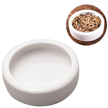Artibetter 2 Pezzi Ciotola Alimentazione Rettile in Ceramica Piccola Ciotola Rotonda per Cibo Gamberetti e Pesci Anti-Fuga per Lucertole e Ragni Resistente e Decorativa
