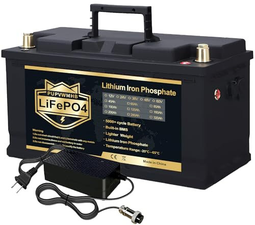 PUPVWMHB LifePO4-batteri 12 V 100 Ah 1 280 Wh LiFePO4 batteri litiumbatteri med BMS 100 A, 4 000 ~ 15 000 livscykler djupcykelbatteri uppladdningsbart för husbil, husbil, husvagn, båt, solsystem