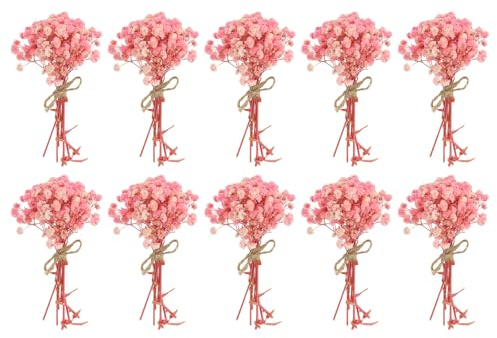 PATIKIL Mini torkad blombukett, 10 stycken Gypsophila naturlig vild blomma med stjälk dekor boho blommande växt för pyssel gör-det-själv fotorekvisita gåva bröllopsdekor, rosa