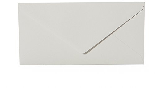 Paper24 25 Briefumschläge Grau DIN lang 110x220 mm, 11x22 cm, ohne Fenster, Ideal für Einladungskarten Hochzeit Geburtstag u. ä.