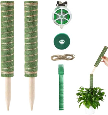Aste di muschio per piante rampicanti, strumento da giardino riutilizzabile che assorbe l'acqua, per piante rampicanti, per edera e filodendro, piante da interni, esterni, balconi, terrazze
