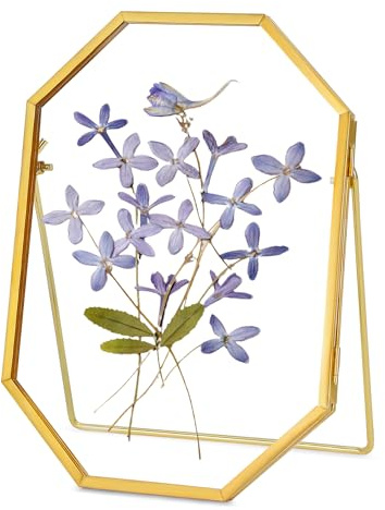REDHUGO Glass Pressed Flower Frame Handmade, Octagon, Gold, 5x7 Inches