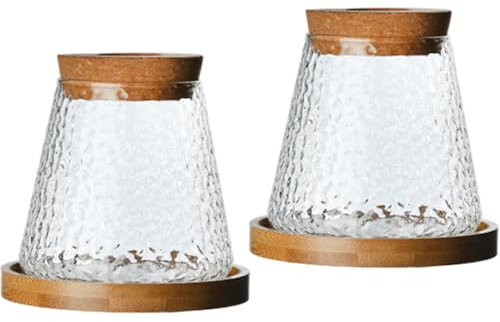 2Pcs Glass Plant Pot Decorative Clear Plant Propagation Station with Perforated Cork & Bamboo Tray for Growing Hydroponic Plants..