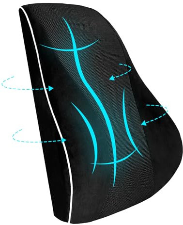 USHOP Memory Foam Rückenkissen,Ergonomisches Lendenkissen mit doppelseitiger Thermoregulierung,rückenstützkissen aus hochdichtem Memory-Schaum,mit verstellbaren Doppelgurten und Abnehmbarer Hülle