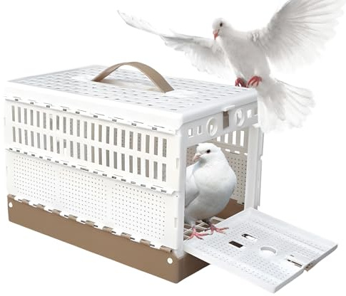 Cage de perruche - Cage d'entraînement de nid de pigeons pliable avec verrouillage de porte de sécurité, conception pratique compacte, caisse de transport d'oiseaux portable pour le transport et l'ent