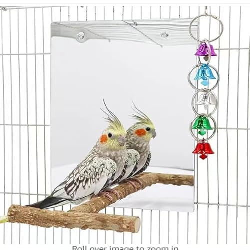 CiCixixi Espejo Grande para Aves con Posadero, 30 × 20 cm Juguete con Columpio y Campana para Loros, Periquitos y Cotorras - Accesorio para Jaulas