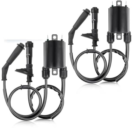 LEFEDA Zündspule 2 Satz Für Shadow Zündspule Und Zündkerzenstecker VLX 600 VT600 VT600C VT600CD Für Deluxe 1988–2007 Zündeinheit