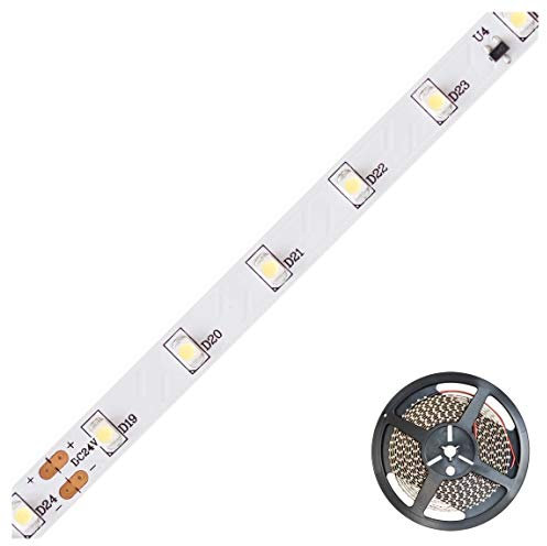 EVN - Lampadina in vetro 2G7, 10 W, 7 x 8 x 10 cm, colore: Nero