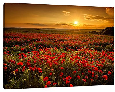 Caro-Art Mohnblütenfeld bei traumhaftem Sonnenuntergang Format: 80x60cm auf Leinwand