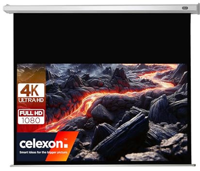 celexon Economy Motor-Leinwand 130 | 300x169 cm 16:9 | elektrische 4K,Full-HD Beamer-Leinwand für Büro-Präsentationen & Ihr Heimkino | zur Wand- und Deckenmontage | inkl. Fernbedienung