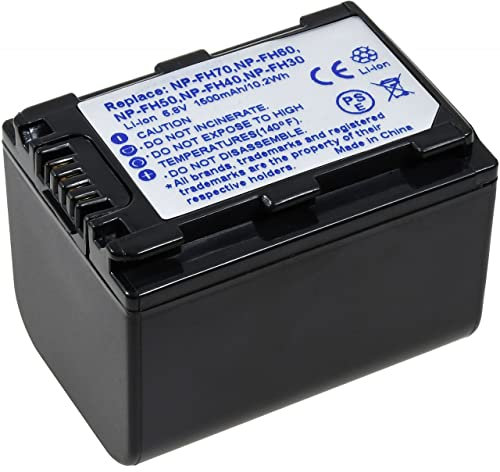 Powery Batería para videocámara Sony HDR-SR5 1300mAh