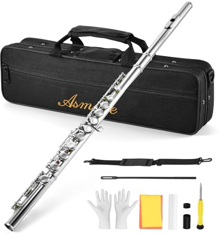 Asmuse Flauta Travesera Plateada 16 Agujeros Cerrados C clave Flauta Escolar con Estuche, Paño de Limpieza y Guantes para Principiantes y Profesionales