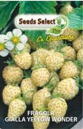 Semi di Fragola Gialla Yellow Wonder, Bustina da Coltivazione, Varietà Rara