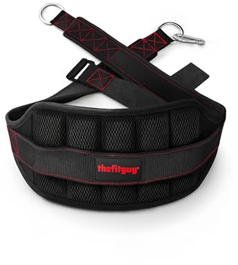 THEFITGUY Ultimate Belt for Belt Squats, Rack Attachment and Squat Machine, Structured Back Support, Stays Low During Down Movement, Padded Hip & Thigh Area, Buckle Strap - No Sliding Down, Heavy Duty