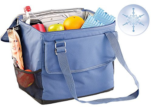 Xcase Elektrische Kühltasche: Thermoelektrische Kühltasche fürs Auto, 35 l (refurbished) (Kühlboxen, Auto Zigarettenanzünder, 12V)