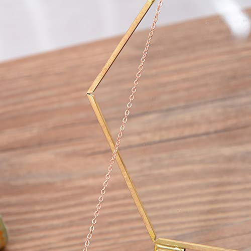 SIXRUN Geometrisk Glas Terrarium Ring Box, Flower Room med Mässingsram