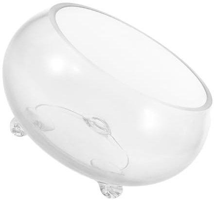 BESPORTBLE Mikro-landschaftsglas-Aquarium Terrarium-pflanzgefäß Aus Glas Großes Fischglas Aus Glas Fischgläser Aus Glas Terrarienschalen Aquarienschale Kleines Aquarium Aus Glas Transparent