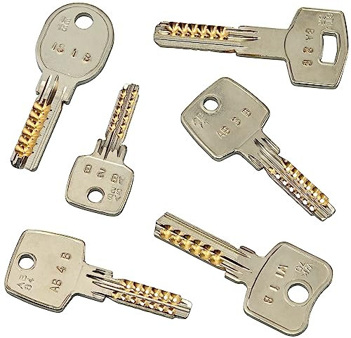 Multipick Impact Key Set for Dimple Cylinder 6 Pieces + Online Instructions