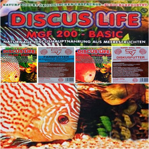 Frostfutter Diskus Mix 5 kg - 5 verschiedene Sorten