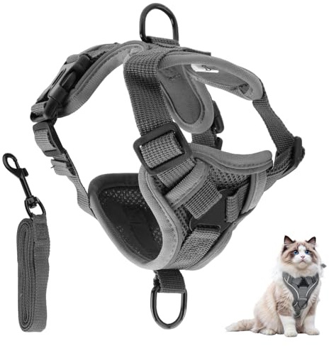 Cat Leash with Reflective Strips, Adjustable Cat Harness and Lead Set, Breathable Small Dog Harness, Escape-Proof Kitten Cat Collars Harnesses Leads for Outdoor Walking, Training, Easy to Control (S)