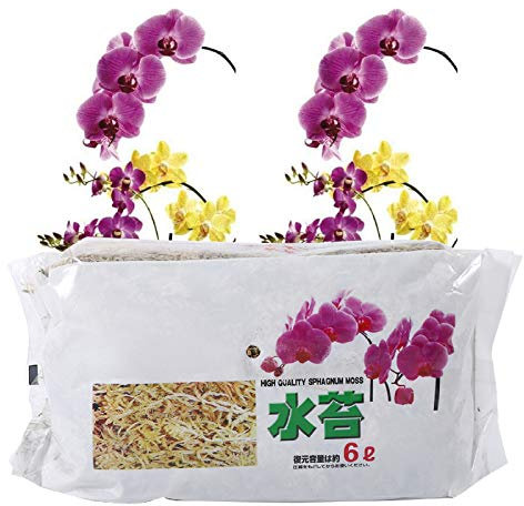 Engrais biologique pour orchidée Phalaenopsis