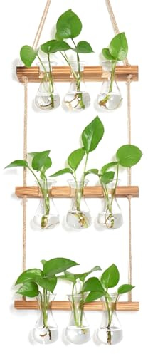 XXXFLOWER Petite bouteille en verre en forme de goutte - Petits vases avec support pour plantes - 3 stations de multiplication - En verre - Accessoires pour plantes d'intérieur - Support de plantes