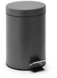 Linsar - Pattumiera – Mini bidone della spazzatura in acciaio inox con meccanismo di abbassamento, silenzioso WC igienico, con coperchio, piccolo cestino cosmetico con coperchio basculante (grigio)