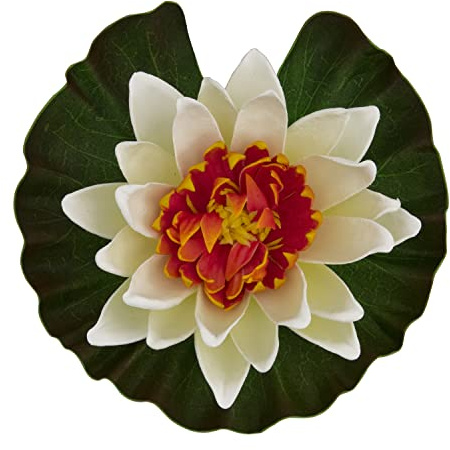 Tetra Pond Floating Water Lily (Colors may vary)