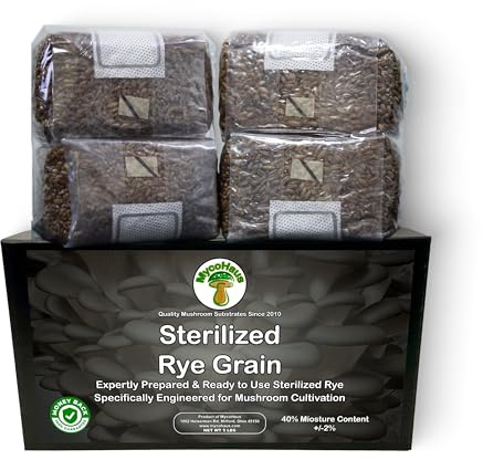 MycoHaus odlingskit för svampar med injektionsportar | steriliserade rågkorn | Magiska odlingsväskor för inomhusbruk | Odlingsmaterial | Utan sporer | 0,5 kg (6-pack)