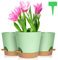 OFFCUP Lot de Pot de Fleur en Plastique, 6pcs Pots de Fleurs Auto-Arrosant, Pots de Plantes avec Trous De Drainage et Soucoupes Amovible pour d'Intérieur et d'Extérieur Jardins de Balcon -Vert 16,5cm