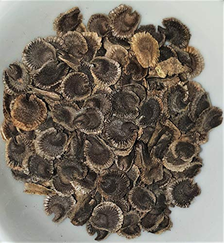 Feigenblättrige Stockrose (Bunte Mischung) Alcea ficifolia - Hybriden 40 Samen