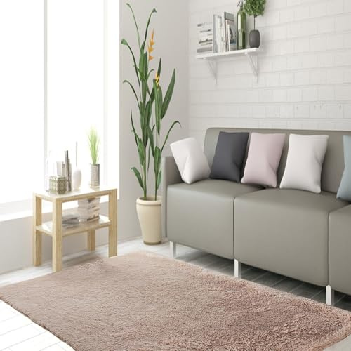 STGAO Alfombras Dormitorio 120 x 230 cm Diferentes Tamaños Alfombra Esponjosa de Cama Sostenible Adecuado para Salón Dormitorio Sofá Suelo, Beige