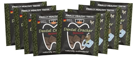 QCHEFS Paquete de 8 galletas para cepillos de dientes, cuidado dental natural, sin cepillo, para el sarro y el mal aliento, limpieza diaria de los dientes