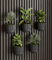 Vleugel Akustikpaneel 2X Kleiner Ring + 2X Kleiner Topf