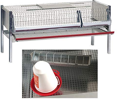 Gabbia Sovrapponibile in Rete Zincata per Quaglie Ovaiole (30-40 Capi). Max Ingombro cm 46 x 100 x H 50. In Omaggio Abbeveratoio e Mangiatoia Supplementari