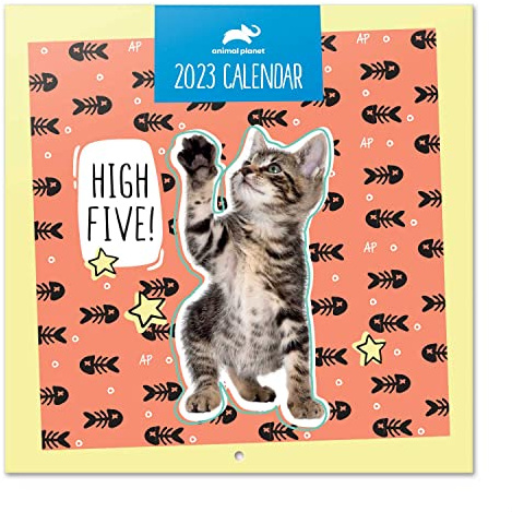 Grupo Erik Animal Planet Wall Calendar 2023 12' x 12' FSC| 12 Month Planner | Square Wall Calendar 2023 | Family Planner Calendar 2023 | Animals Calendar 2023 | + 4 Bonus Months