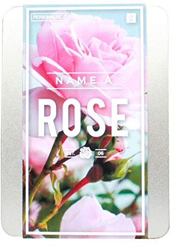 Gift Republic GR100002 Personalise IT Name a Rose,pink