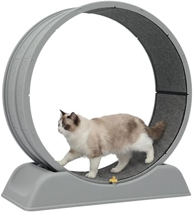 Roue d'exercice pour chat - Roue silencieuse pour chat - Avec boucle de sécurité - Tapis de course d'intérieur avec tapis pour courir et griffer - Diamètre : 80 cm - Gris