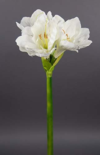 Große Amaryllis 65cm weiß-Creme GA Seidenblumen Kunstblumen künstliche Blumen