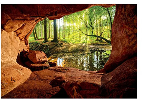 WallArena - Vlies Fototapete Wald Bach Sonne Höhle Natur Landschaft 312x219 cm - Fototapeten - Tapeten - für Wohnzimmer Schlafzimmer - Vliestapete Wandtapete Tapete 3D Effekt- inkl. Kleister