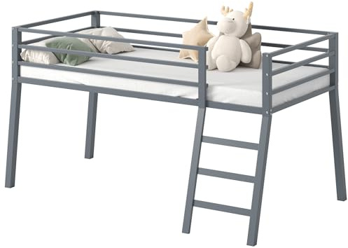 Lutown-Teen Low Metal Twin Loft Bed with Ladder and Guardrail for Kids or Teens, Space Saving Loft Bed Twin Size for Small Bedroom, Grey