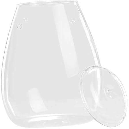 LOORGVEL Bouteille Terrarium Verre Transparent pour Micro DIY Vase et Résistant Conteneur Décoratif pour Plantes Dintérieur