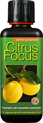 Growth Technology Ltd Citrus Focus Liquid Concentrated Fertiliser 300 ml