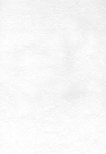 Brewster 497-67473 Sante Fe Slap Trowel Plaster Wallpaper, Paintable